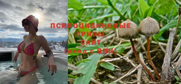 дурь Бежецк