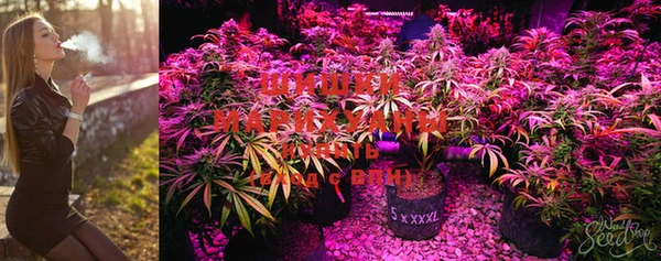 MESCALINE Билибино