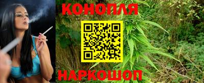 mdpv Вышний Волочёк