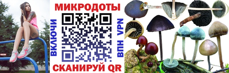 Псилоцибиновые грибы GOLDEN TEACHER  Вязьма 