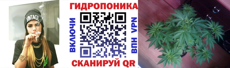 Каннабис SATIVA & INDICA Вязьма